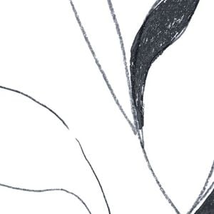 Wallpaper Trader Vine