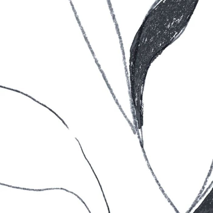 Wallpaper Trader Vine