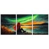 3pcs See the aurora Art Painting  Print 100% Australian Made 3 x 40x60cm (Metal Print)