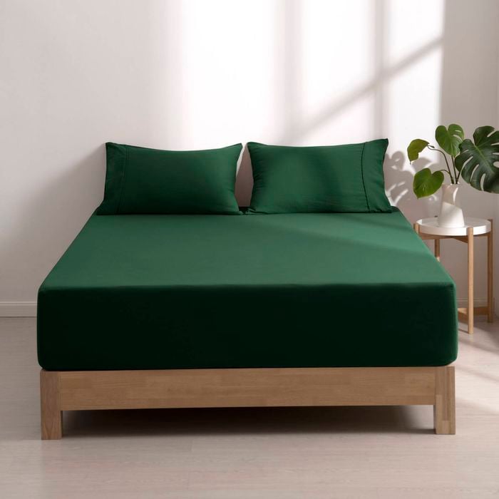 Dreamaker Superfine Washed Microfibre Combo Fitted Sheet Set Hunter Green Long Single Bed