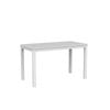 Olg Axis Table 4 Leg White Frame White Top 1200mm Square