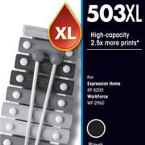 Epson 503xl Black Ink Cartridge C13t09r192