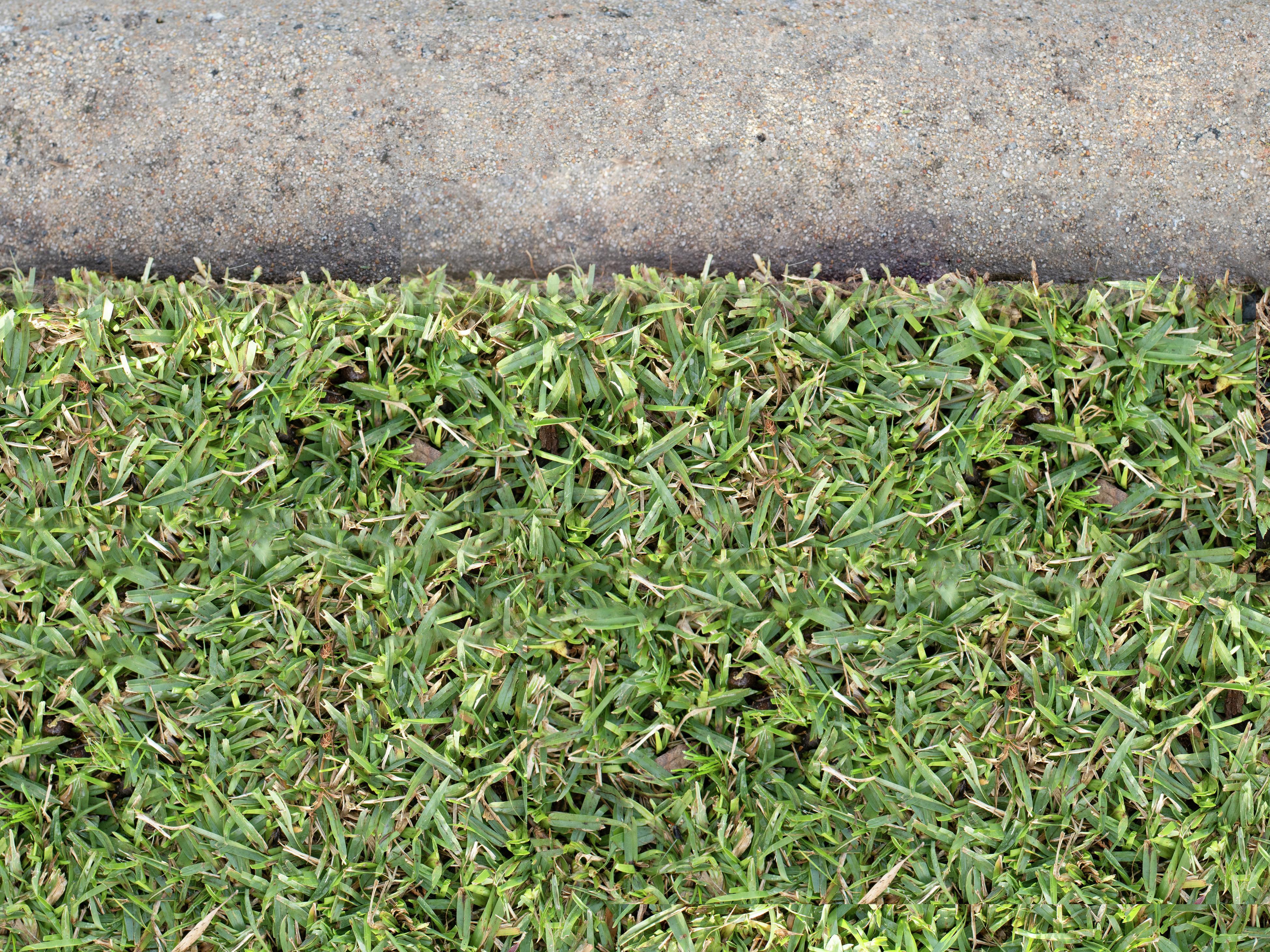 How To Trim Your Lawn Edges Bunnings Australia
