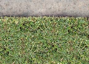 DIY Advice Image - How to trim your lawn edges. G Drive blob storage upload.