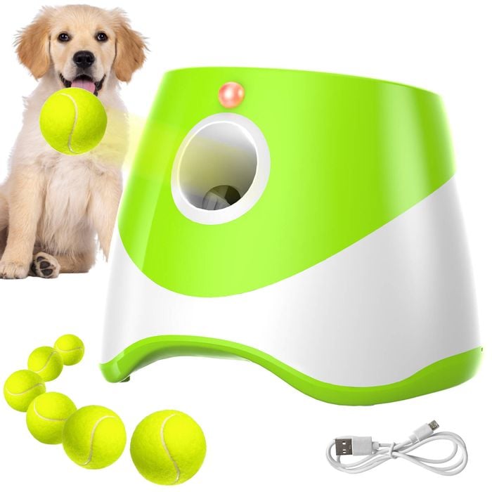 Automatic dog ball thrower online