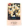 Yarra Valley Bulbs Daffodil Yazz - 3 Pack