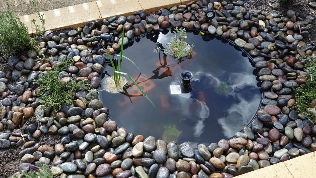 Garden pond feature with stones, lady beetle figures, and mossy plants.