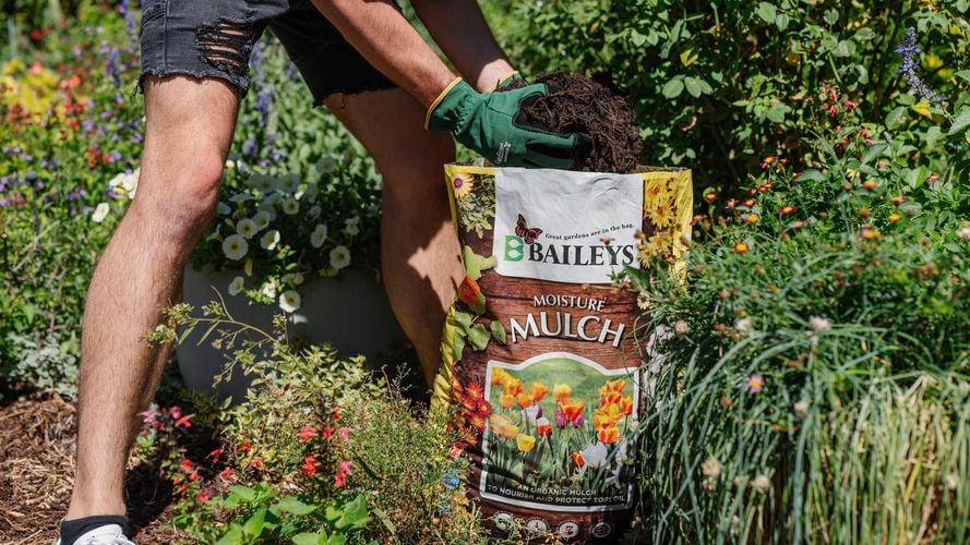 Person applying mulch to garden bed.