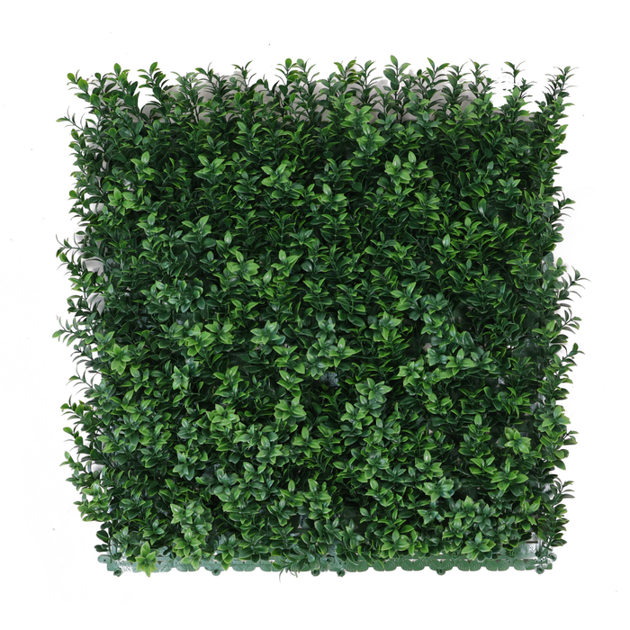 Un-Real 50 x 50cm Artificial Hedge - Buxus English Box - English Box