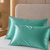 Royal Comfort Mulberry Soft Silk Pillowcase Twin Pack Mint Standard