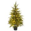Lifebay Twinkle Norfolk Pine Artificial Christmas Tree - 60 cm