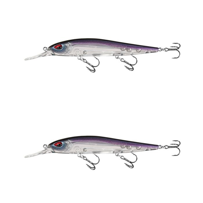 2x 13 Fishing 110mm Whipper Snapper Jerkbait Fishing Lures - Gizzard of OZ