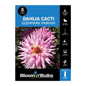 Bloomin Bulbs Dahlia Glenmark Fairway 1 Pack