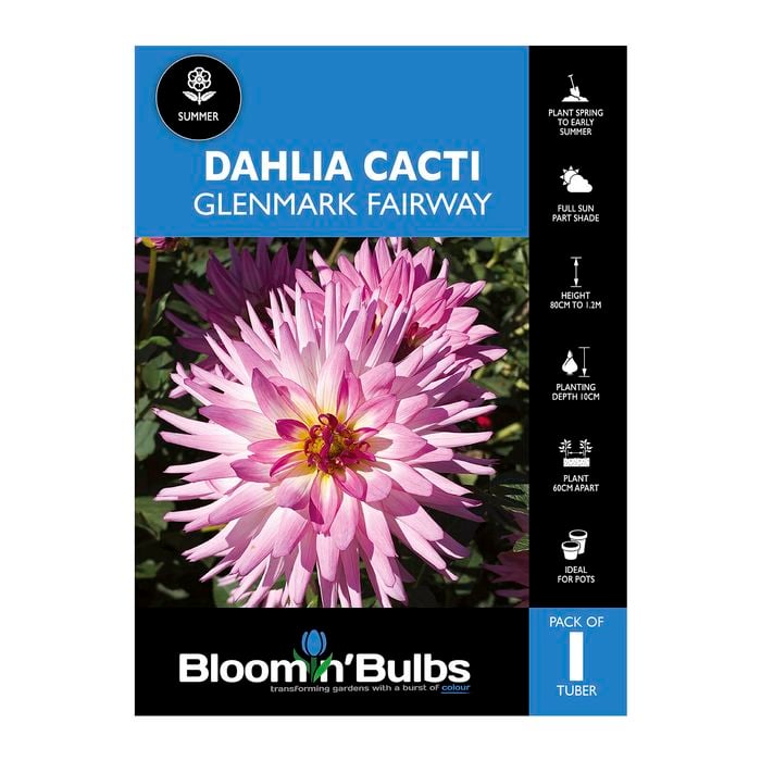Bloomin Bulbs Dahlia Glenmark Fairway 1 Pack