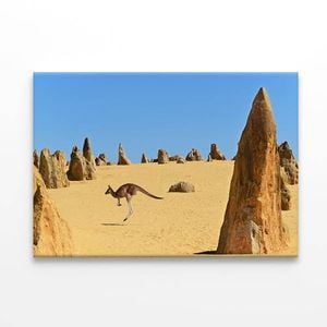 The Pinnacles Desert Western Australia Kangaroo  Print 100% Australian Made 90 x 60cm  (Stretched)