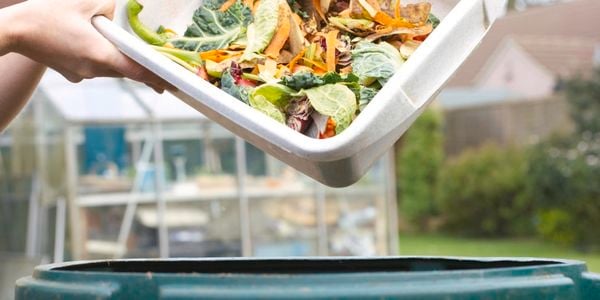 Person pouring food waste into compost bin outside.