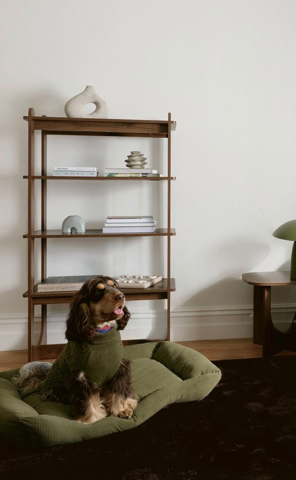 Styled living room corner with a green lounge chair and cushion beside a small wooden side table with a green lamp, a timber open bookshelf against a white wall, and a small dog resting on a green dog bed on a dark rug near a window.