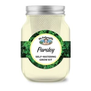 Mr Fothergill's Self Watering Mason Jar Grow Kit - Parsley