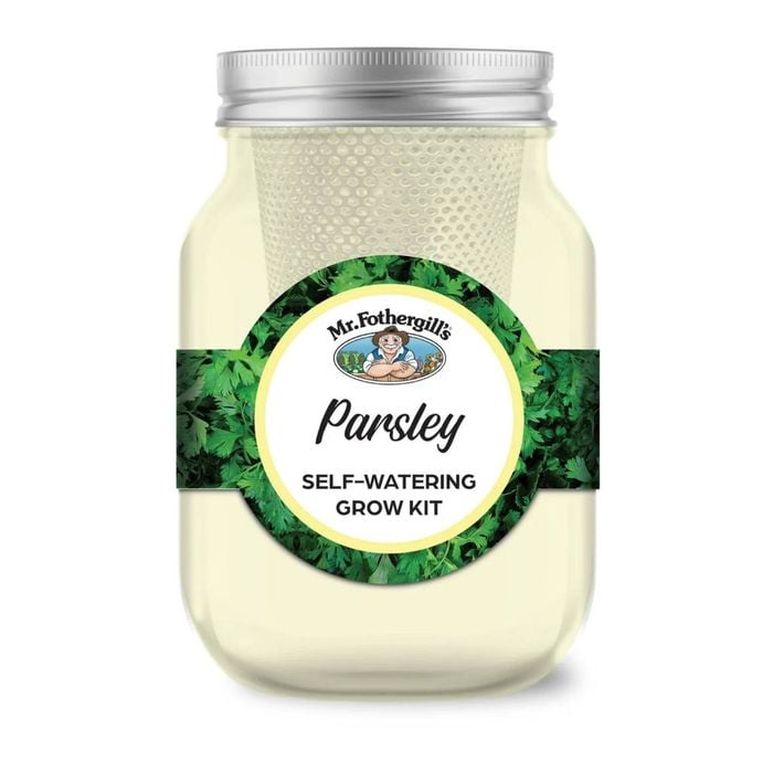 Mr Fothergill's Self Watering Mason Jar Grow Kit - Parsley