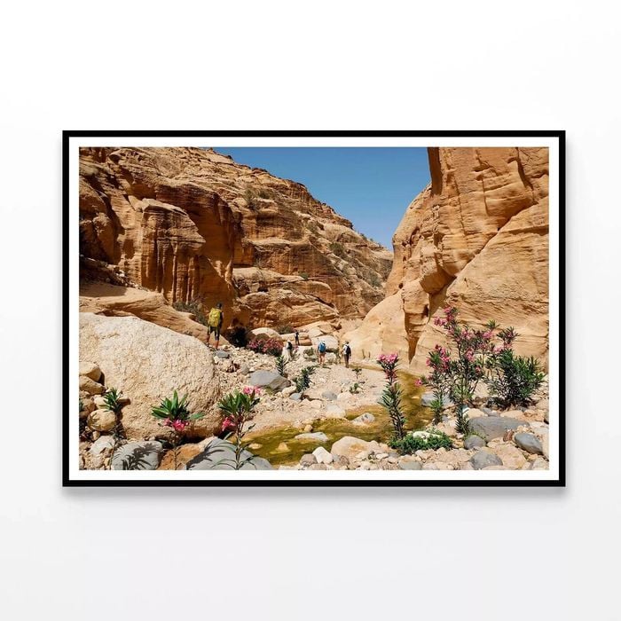 Biosphere Reserve in Jordan  Print 100% Australian Made 90x60cm  (Poster)