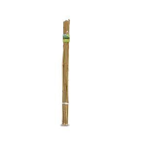 Brunnings 150cm Natural Bamboo Garden Stakes - 10 Pack - 1500mm