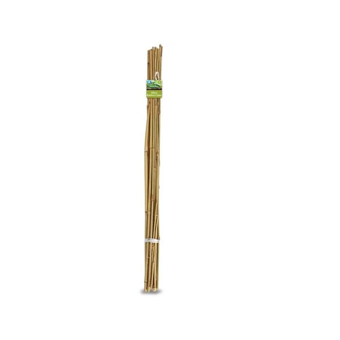 Brunnings 150cm Natural Bamboo Garden Stakes - 10 Pack - 1500mm