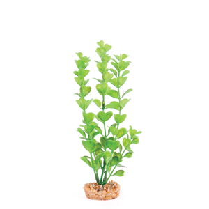Kazoo Plastic Plant - Medium Leaf Green Small (19531)