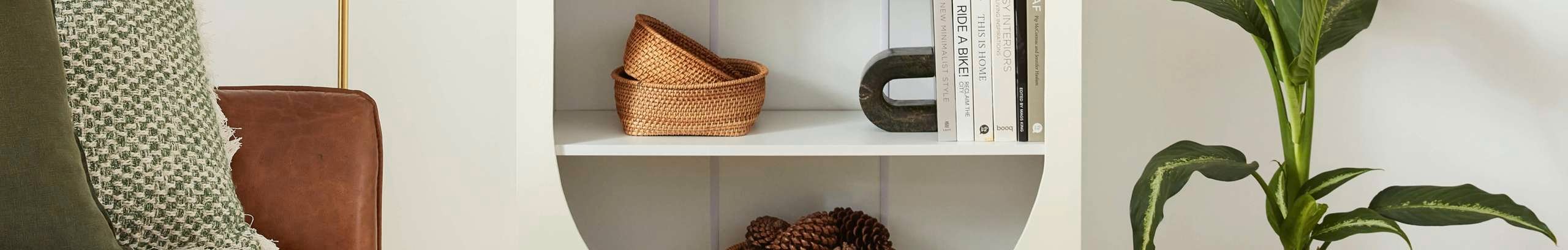 Close up of a shelf of a bookcase and plant.