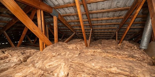 Insulation batts laid in a roof space