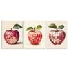 3pcs A Red Apple Nature Pattern Print 100% Australian Made 3 x 40x60cm (Metal Print)