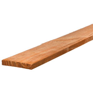 Fence Palings