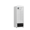 Buy Online 218L Upright Glass Door Drink Fridge 540mm