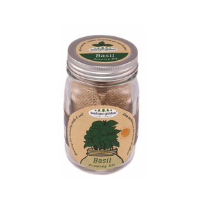 Mr Fothergill's Mason Jar Grow Kit - Basil