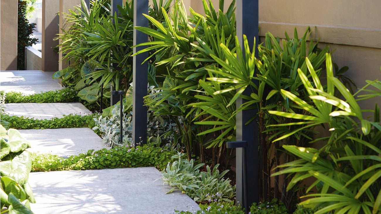 Metal square arches following a grey tiled pathway with green foliage either side.