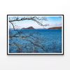 Tree with a Lake & Mountains   Print 100% Australian Made 90x60cm  (Poster)