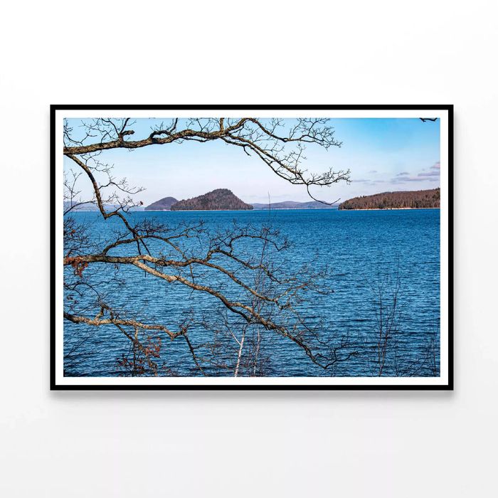 Tree with a Lake & Mountains   Print 100% Australian Made 90x60cm  (Poster)