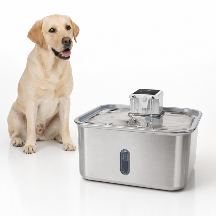 Petbuds Hydro Dog Drinking Fountain