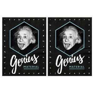 2PK Nostalgic Art Fridge Rectangle Magnet Einstein Genius 6x8cm
