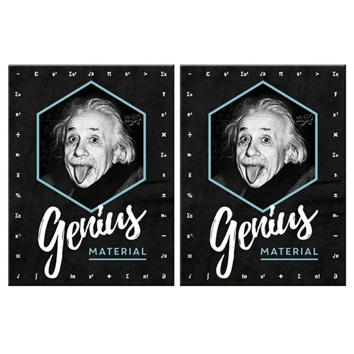 2PK Nostalgic Art Fridge Rectangle Magnet Einstein Genius 6x8cm