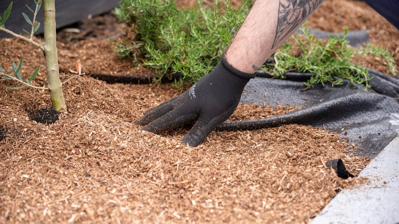 A person with a garden glove on their hand touching mulch in a garden bed