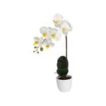 55cm White Orchid Artificial Plant