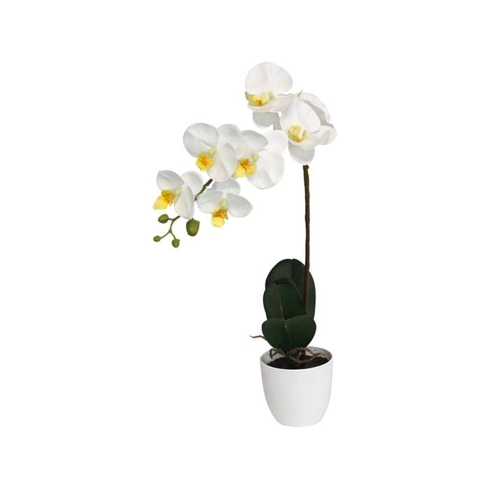 55cm White Orchid Artificial Plant