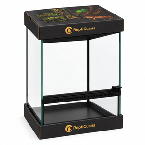 ReptiQuaria Glass Reptile Terrarium 20cm x 20cm x 30cm