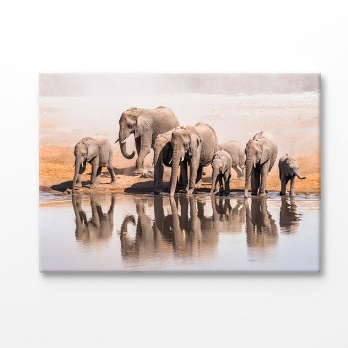 Elephant Family Drinking Water From a Lake Print 100% Australian Made 90x60cm (Stretched Canvas)