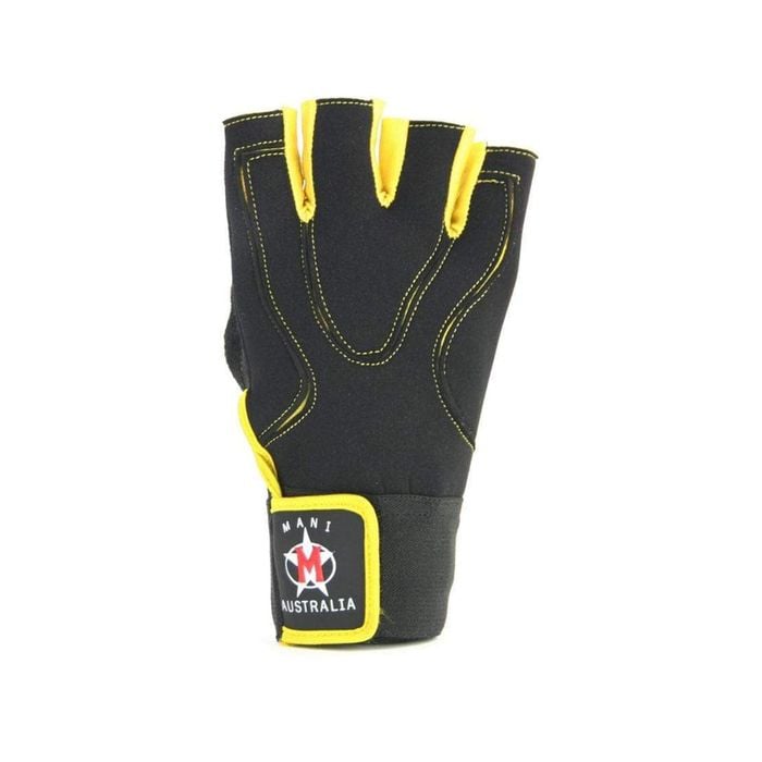 Phoenix Weight Training Gloves-XL