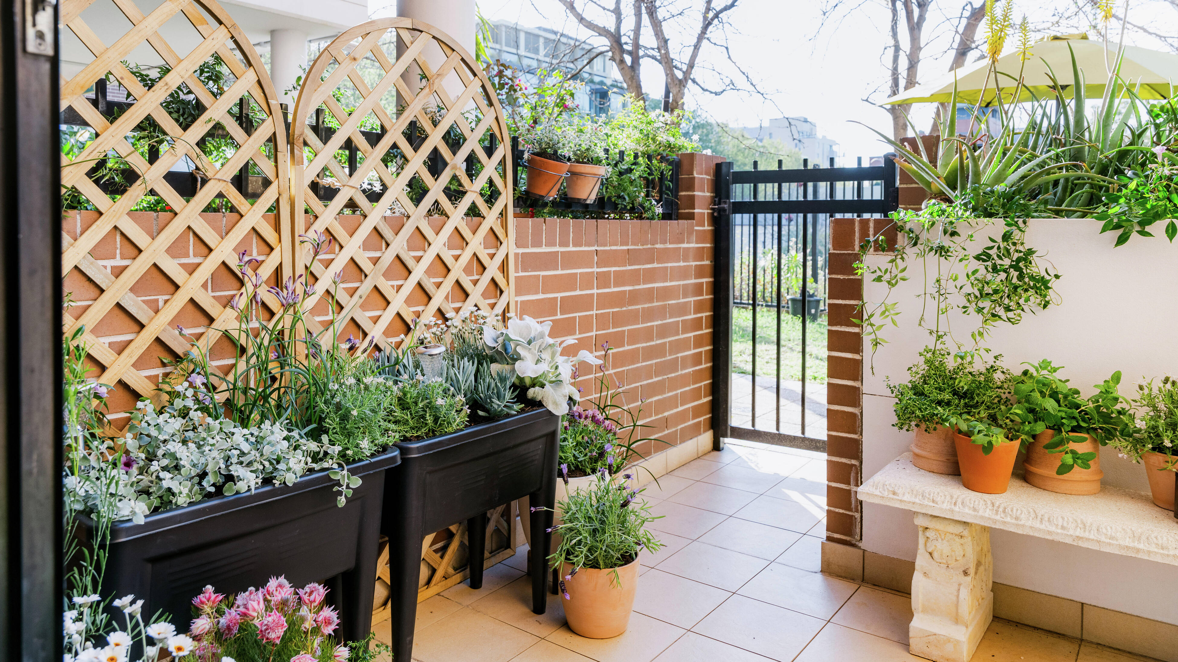 Small balcony garden with potted herbs, a mini greenhouse and outdoor seating.