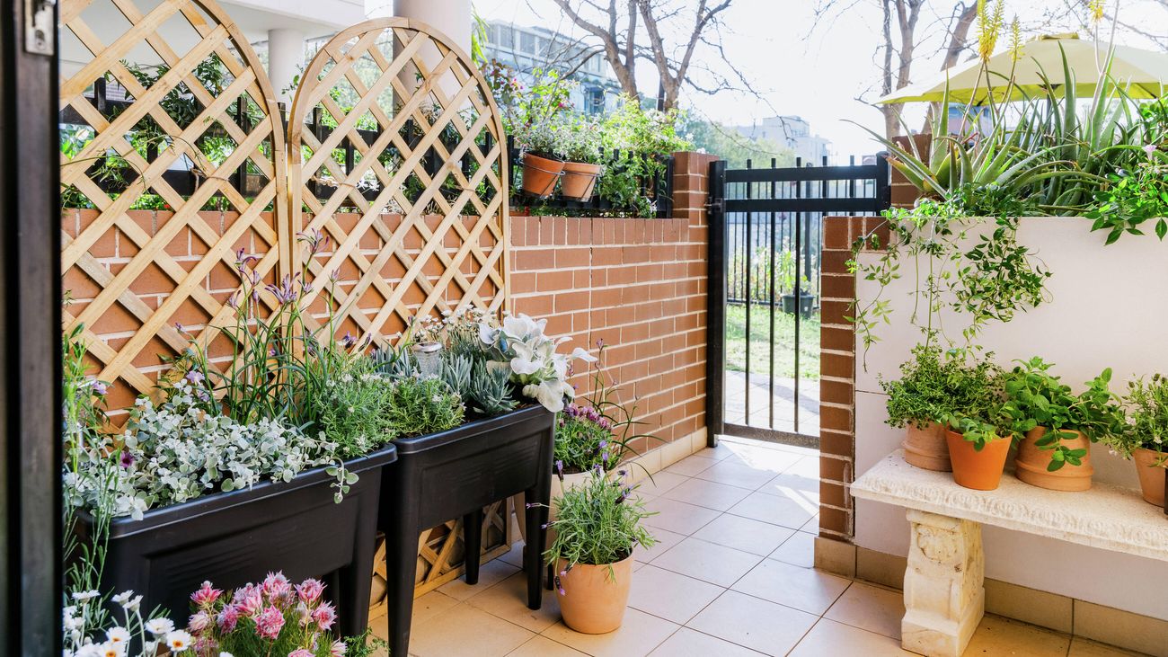 Small balcony garden with potted herbs, a mini greenhouse and outdoor seating.