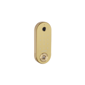 Zanda 60mm Satin Brass Backset Stealth Deadbolt Latch
