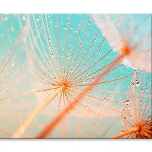 Dandelion Seed with Water Drops  Print 100% Australian Made 120 x 90cm  (Stretched)