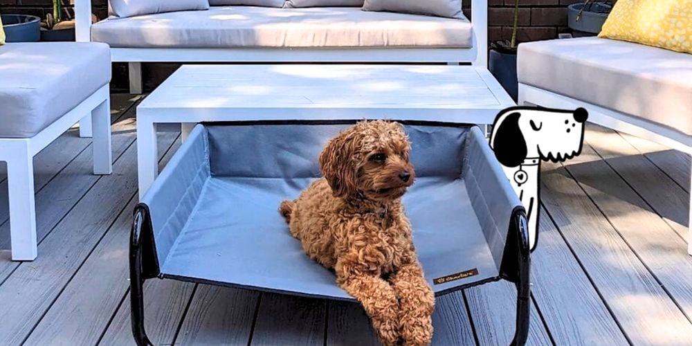 Charlies High Wall Trampoline Dog Bed is great for both indoor and outdoors. I/N: 0458688